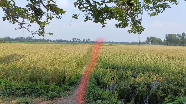 চান্দাইকোনা "গায়েব" এক কিলোমিটার রাস্তা চরম দুর্ভোগে কয়েক গ্রামের মানুষ।...