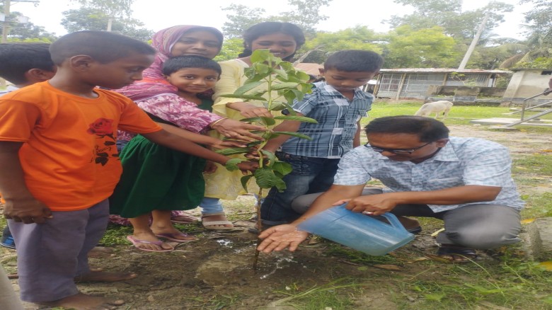 রংপুরের তারাগঞ্জে চিলাপাক সরকারি প্রাথমিক বিদ্যালয়ে বৃক্ষরোপ